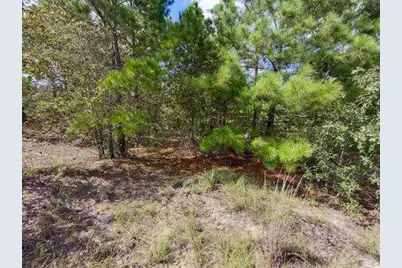 Lot 3 Tall Forest Drive, Bastrop, TX 78602 - Photo 7