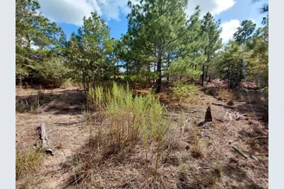 Lot 3 Tall Forest Drive, Bastrop, TX 78602 - Photo 9