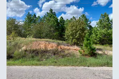 Lot 3 Tall Forest Drive, Bastrop, TX 78602 - Photo 3