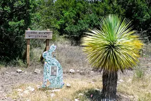 373 Leaning Rock Rdg, Austin, TX 78737 - Photo 13