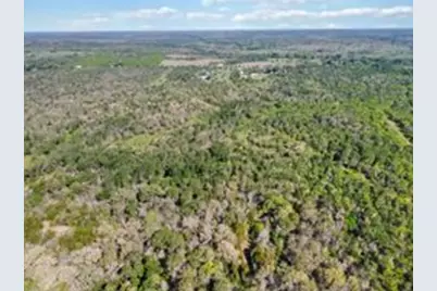 Tbd High Grove Road, Cedar Creek, TX 78612 - Photo 15