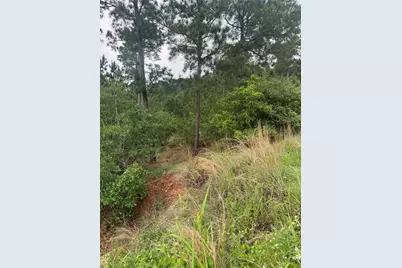 Lot 1614 Kaanapali Lane, Bastrop, TX 78602 - Photo 3