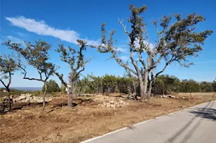 Lot 20 A Live Oak & Persimmon Corner Dr, Spicewood, TX 78669 - Photo 3