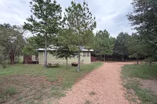 291 Ponderosa Loop, Paige, TX 78659 - Photo 3