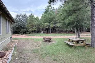 291 Ponderosa Loop, Paige, TX 78659 - Photo 31