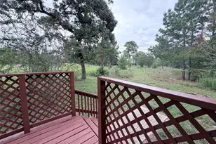 291 Ponderosa Loop, Paige, TX 78659 - Photo 5