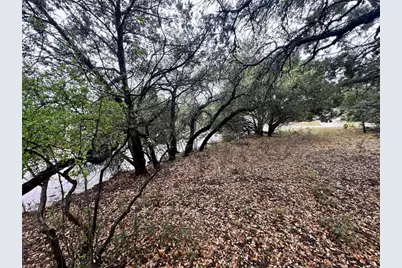 2907 Ticonderoga Cove, Lago Vista, TX 78645 - Photo 15