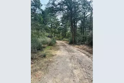 1053 Elm Crest Drive, New Ulm, TX 78950 - Photo 27