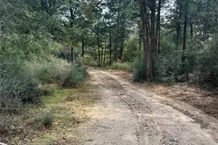 1053 Elm Crest Dr, New Ulm, TX 78950 - Photo 27