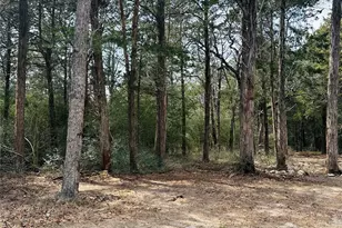 1053 Elm Crest Dr, New Ulm, TX 78950 - Photo 25