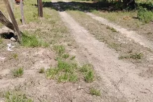 647 Hidden Oaks Dr, Elgin, TX 78621 - Photo 5