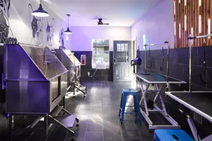 12001 Metric Blvd, Austin, TX 78758 - Photo 15