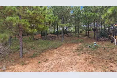 259 259 Pinehill Dr Drive, Bastrop, TX 78602 - Photo 9