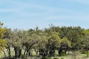 Lot 8 W Flying Owl Dr, Johnson City, TX 78636 - Photo 1