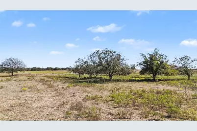 Tract 3 Fm 3158, Dale, TX 78616 - Photo 9
