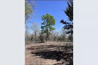 1304 Walleye Creek Trail Street, Lexington, TX 78947 - Photo 3