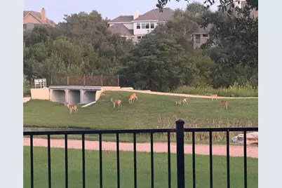 2172 Local Rebel Loop, Leander, TX 78641 - Photo 21