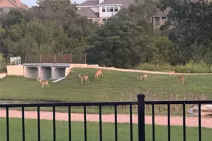 2172 Local Rebel Loop, Leander, TX 78641 - Photo 21