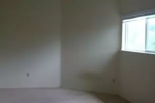 114 E 31st St, Austin, TX 78705 - Photo 7