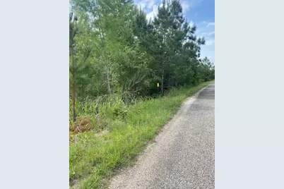 Lot 4 Kainalu Lane, Bastrop, TX 78602 - Photo 5