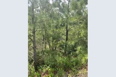 Lot 4 Kainalu Lane, Bastrop, TX 78602 - Photo 7