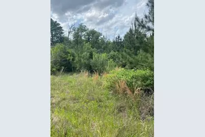 Lot 4 Kainalu Lane, Bastrop, TX 78602 - Photo 3