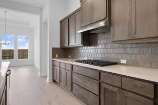 825 S Hemingway Loop, Liberty Hill, TX 78642 - Photo 11