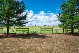 245 Country Ln, McDade, TX 78650 - Photo 33