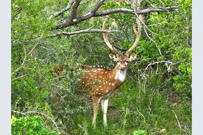 392 County Road 230, San Saba, TX 76877 - Photo 23