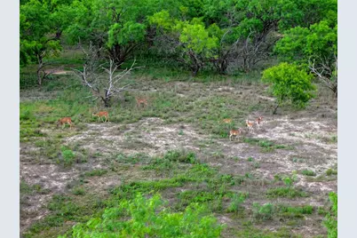 392 County Road 230, San Saba, TX 76877 - Photo 19