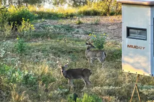 392 County Road 230, San Saba, TX 76877 - Photo 1