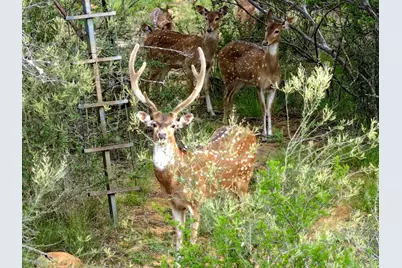 392 County Road 230, San Saba, TX 76877 - Photo 3