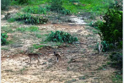 392 County Road 230, San Saba, TX 76877 - Photo 21
