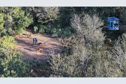 392 County Road 230, San Saba, TX 76877 - Photo 9