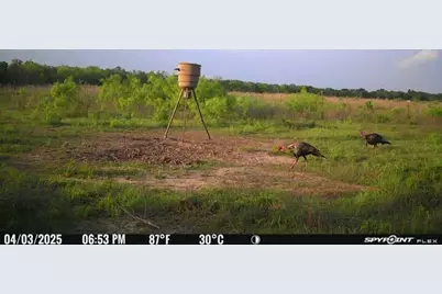 [Address not provided], Elgin, TX 78653 - Photo 17