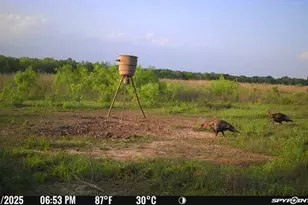 [Address not provided], Elgin, TX 78653 - Photo 17