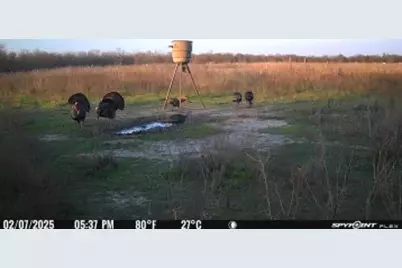 [Address not provided], Elgin, TX 78653 - Photo 21