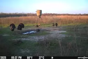 [Address not provided], Elgin, TX 78653 - Photo 21