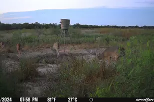 [Address not provided], Elgin, TX 78653 - Photo 19