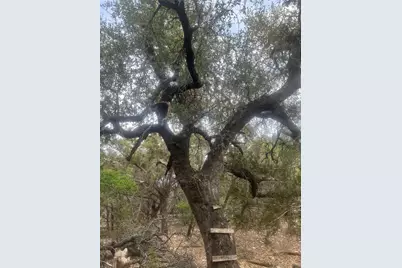 701 Grande Street #B, Driftwood, TX 78619 - Photo 15