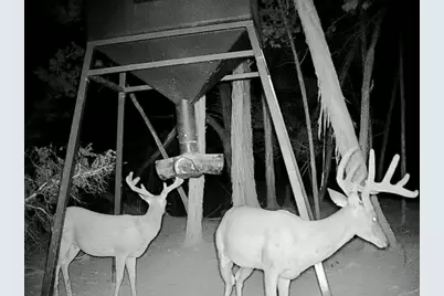 281 Kloster Lane, Blanco, TX 78606 - Photo 27