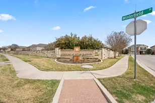125 Danablu Dr, Hutto, TX 78634 - Photo 29