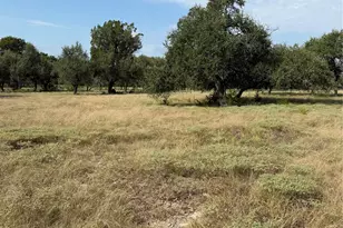 1911 Wayside Dr, Wimberley, TX 78676 - Photo 1