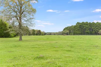 363 Paint Creek South Road #A, Paige, TX 78659 - Photo 13