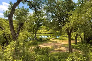 146 Red Granite Dr, Dripping Springs, TX 78620 - Photo 21