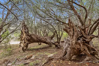 Tbd Loop 165, Dripping Springs, TX 78620 - Photo 31