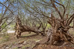 Tbd Loop 165, Dripping Springs, TX 78620 - Photo 31