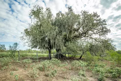 1116 Earl Williams Road, Cuero, TX 77954 - Photo 33