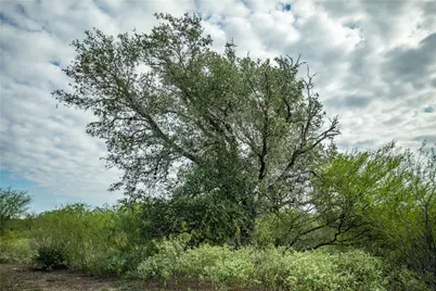 1116 Earl Williams Road, Cuero, TX 77954 - Photo 29