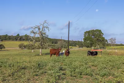 510 County Road 282, Cameron, TX 76520 - Photo 11